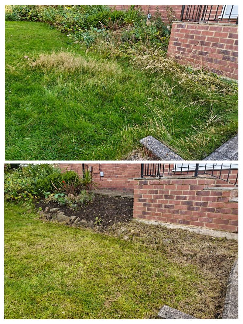 Lawn maintenance before and after