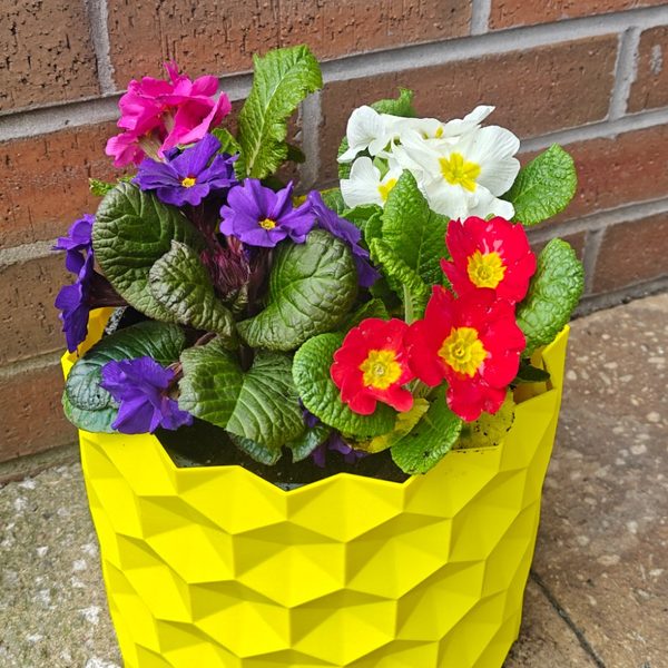 Bloom Pot Medium outdoor